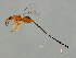  ( - HIR-PHI.1-HN-1)  @14 [ ] CreativeCommons - Attribution (2008) Unspecified Centre for Biodiversity Genomics