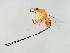  ( - HIR-PHI.1-HN-3)  @14 [ ] CreativeCommons - Attribution (2008) Unspecified Centre for Biodiversity Genomics