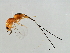  ( - HIR-PHI.1-HN-6)  @14 [ ] CreativeCommons - Attribution (2008) Unspecified Centre for Biodiversity Genomics