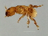  ( - HIR-M.2-HN-1)  @12 [ ] CreativeCommons - Attribution (2008) Unspecified Centre for Biodiversity Genomics