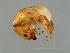  ( - HIR-M.2-HN-2)  @13 [ ] CreativeCommons - Attribution (2008) Unspecified Centre for Biodiversity Genomics