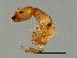  ( - HIR-M.2-HN-3)  @13 [ ] CreativeCommons - Attribution (2008) Unspecified Centre for Biodiversity Genomics