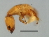  ( - HIR-M.2-HN-6)  @13 [ ] CreativeCommons - Attribution (2008) Unspecified Centre for Biodiversity Genomics
