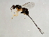  ( - TIN-APO.1-GZ-4)  @13 [ ] CreativeCommons - Attribution (2008) Unspecified Centre for Biodiversity Genomics