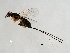  ( - TIN-APO.1-GZ-6)  @14 [ ] CreativeCommons - Attribution (2008) Unspecified Centre for Biodiversity Genomics