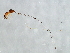  ( - RAC-APP.2-YN-8)  @11 [ ] CreativeCommons - Attribution (2008) Unspecified Centre for Biodiversity Genomics