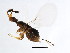  ( - CON-EUP.1-YN-8)  @13 [ ] CreativeCommons - Attribution (2008) Unspecified Centre for Biodiversity Genomics
