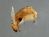  ( - CON-M.0-YN-2)  @13 [ ] CreativeCommons - Attribution (2008) Unspecified Centre for Biodiversity Genomics