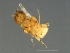  ( - CON-M.0-YN-7)  @12 [ ] CreativeCommons - Attribution (2008) Unspecified Centre for Biodiversity Genomics