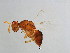  ( - CON-ODO.1-YN-4)  @12 [ ] CreativeCommons - Attribution (2008) Unspecified Centre for Biodiversity Genomics