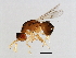  ( - CON-M11-YN-5)  @13 [ ] CreativeCommons - Attribution (2008) Unspecified Centre for Biodiversity Genomics