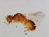  ( - CON-M11-YN-8)  @12 [ ] CreativeCommons - Attribution (2008) Unspecified Centre for Biodiversity Genomics