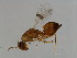  ( - CON-SPH.1-HN-3)  @14 [ ] CreativeCommons - Attribution (2008) Unspecified Centre for Biodiversity Genomics