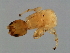  ( - PIS-M.0-YN-2)  @13 [ ] CreativeCommons - Attribution (2008) Unspecified Centre for Biodiversity Genomics