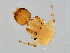  ( - PIS-M.0-YN-5)  @11 [ ] CreativeCommons - Attribution (2008) Unspecified Centre for Biodiversity Genomics