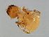  ( - PIS-M.0-YN-7)  @12 [ ] CreativeCommons - Attribution (2008) Unspecified Centre for Biodiversity Genomics