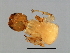  ( - PIS-M.0-YN-8)  @12 [ ] CreativeCommons - Attribution (2008) Unspecified Centre for Biodiversity Genomics