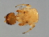  ( - PIS-M.0-YN-10)  @12 [ ] CreativeCommons - Attribution (2008) Unspecified Centre for Biodiversity Genomics