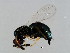  ( - PIS-WAL.1-YN-2)  @14 [ ] CreativeCommons - Attribution (2008) Unspecified Centre for Biodiversity Genomics