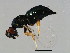  ( - PIS-WAL.1-YN-3)  @14 [ ] CreativeCommons - Attribution (2008) Unspecified Centre for Biodiversity Genomics