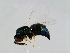  ( - PIS-WAL.1-YN-4)  @13 [ ] CreativeCommons - Attribution (2008) Unspecified Centre for Biodiversity Genomics