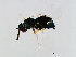  ( - PIS-WAL.1-YN-5)  @13 [ ] CreativeCommons - Attribution (2008) Unspecified Centre for Biodiversity Genomics
