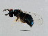  ( - PIS-WAL.1-YN-6)  @13 [ ] CreativeCommons - Attribution (2008) Unspecified Centre for Biodiversity Genomics