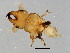 ( - PIS-M.0-YN-11)  @11 [ ] CreativeCommons - Attribution (2008) Unspecified Centre for Biodiversity Genomics