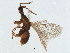  ( - ICH-BLA.1-YN-4)  @11 [ ] CreativeCommons - Attribution (2008) Unspecified Centre for Biodiversity Genomics