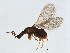  ( - ICH-BLA.1-YN-6)  @11 [ ] CreativeCommons - Attribution (2008) Unspecified Centre for Biodiversity Genomics