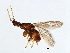  ( - ICH-BLA.1-YN-10)  @11 [ ] CreativeCommons - Attribution (2008) Unspecified Centre for Biodiversity Genomics