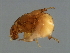  ( - ICH-M.0-YN-1)  @11 [ ] CreativeCommons - Attribution (2008) Unspecified Centre for Biodiversity Genomics