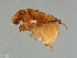  ( - ICH-M.0-YN-5)  @11 [ ] CreativeCommons - Attribution (2008) Unspecified Centre for Biodiversity Genomics