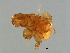  ( - ICH-M.0-YN-7)  @11 [ ] CreativeCommons - Attribution (2008) Unspecified Centre for Biodiversity Genomics