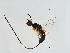  ( - ICH-SCA.1-YN-2)  @13 [ ] CreativeCommons - Attribution (2008) Unspecified Centre for Biodiversity Genomics