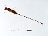  ( - ICH-SCA.1-YN-6)  @13 [ ] CreativeCommons - Attribution (2008) Unspecified Centre for Biodiversity Genomics