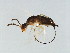  ( - ICH-SCA.1-YN-7)  @11 [ ] CreativeCommons - Attribution (2008) Unspecified Centre for Biodiversity Genomics