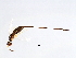  ( - CYR-SCA.1-YN-2)  @11 [ ] CreativeCommons - Attribution (2008) Unspecified Centre for Biodiversity Genomics