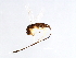  ( - CYR-SCA.1-YN-3)  @11 [ ] CreativeCommons - Attribution (2008) Unspecified Centre for Biodiversity Genomics