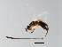  ( - CYR-SCA.1-YN-4)  @11 [ ] CreativeCommons - Attribution (2008) Unspecified Centre for Biodiversity Genomics