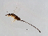  ( - HET-SCA.1-YN-2)  @13 [ ] CreativeCommons - Attribution (2008) Unspecified Centre for Biodiversity Genomics