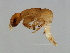  ( - ORT-M.0-YN-2)  @13 [ ] CreativeCommons - Attribution (2008) Unspecified Centre for Biodiversity Genomics