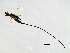  ( - ESQ-SCA.2-YN-3)  @13 [ ] CreativeCommons - Attribution (2008) Unspecified Centre for Biodiversity Genomics