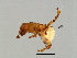  ( - ESQ-M.1-YN-5)  @11 [ ] CreativeCommons - Attribution (2008) Unspecified Centre for Biodiversity Genomics