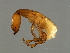  ( - ESQ-M.1-YN-6)  @13 [ ] CreativeCommons - Attribution (2008) Unspecified Centre for Biodiversity Genomics