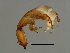  ( - ESQ-M.1-YN-7)  @13 [ ] CreativeCommons - Attribution (2008) Unspecified Centre for Biodiversity Genomics