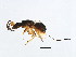  ( - DRUP-EUP.1-YN-11)  @14 [ ] CreativeCommons - Attribution (2008) Unspecified Centre for Biodiversity Genomics