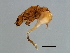  ( - DRUP-M.0-YN-1)  @12 [ ] CreativeCommons - Attribution (2008) Unspecified Centre for Biodiversity Genomics