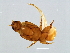  ( - DRUP-M.0-YN-4)  @13 [ ] CreativeCommons - Attribution (2008) Unspecified Centre for Biodiversity Genomics