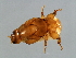  ( - DRUP-M.0-YN-5)  @13 [ ] CreativeCommons - Attribution (2008) Unspecified Centre for Biodiversity Genomics